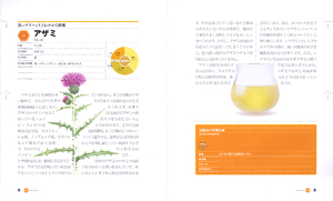 Honey Bible アザミ