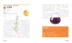 Honey Bible マヌカ