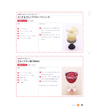 Honey Bible ゴーヤ＆グレープフルーツジュース