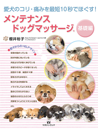 メンテナンス ドッグ マッサージ
