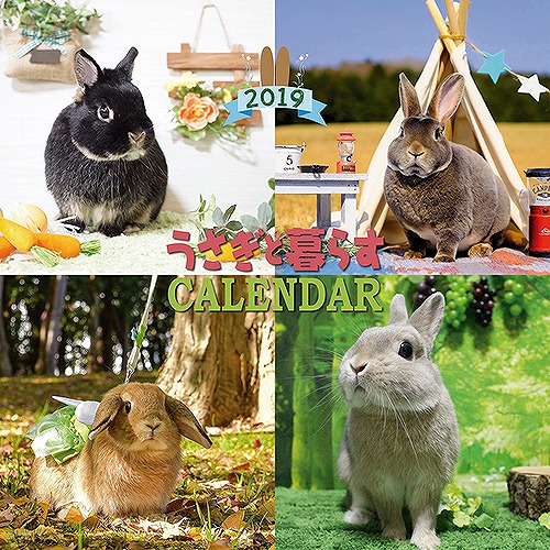 うさぎと暮らすカレンダー2019